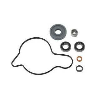 PSYCHIC WATER PUMP REPAIR KIT