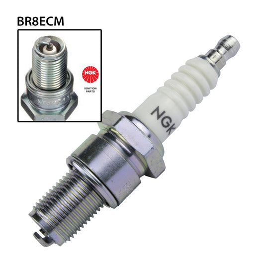 NGK BR8ECM Spark Plug (3035)