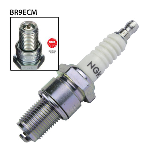 NGK BR9ECM Spark Plug (3252)