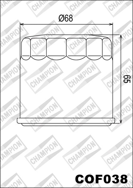 Champion Oil Filter COF038 (HF138)