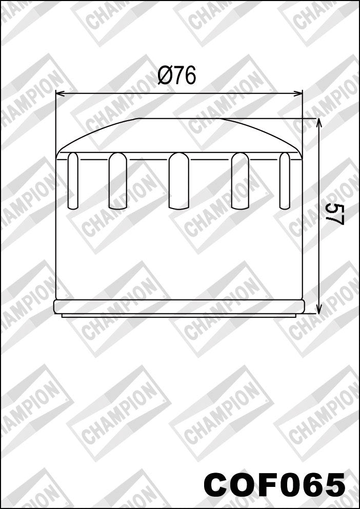 Champion Oil Filter COF065 (HF165)