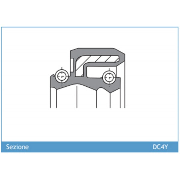 ARI.117 - Pair Of Fork Oil Seals 48 x 58.2 x 8.5/10.5 DC4Y