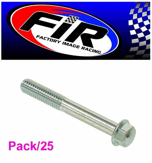 FIR M6 x 45mm FLANGE BOLT, PACK OF 25, 8mm HEX