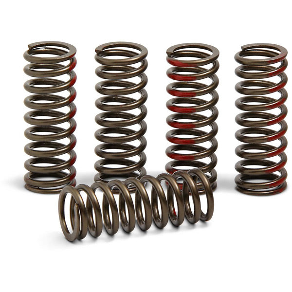 Pro Circuit Clutch springs Honda CRF250R 18-23